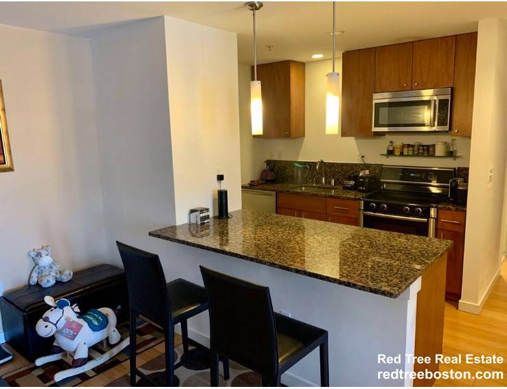 Apartment for rent at 16 Miner St #303, Boston, MA 02115