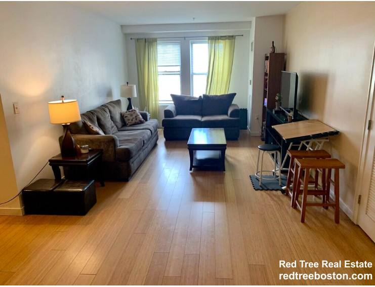Apartment for rent at 16 Miner St #303, Boston, MA 02115