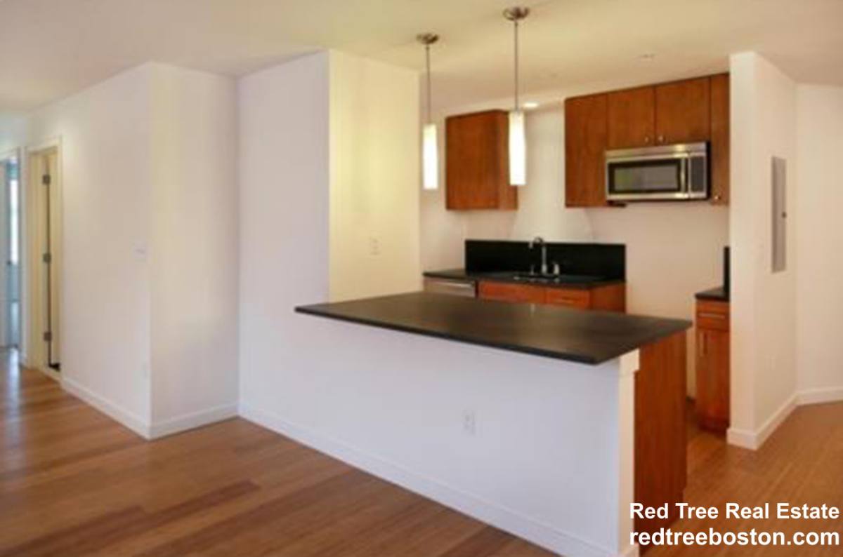 Apartment for rent at 16 Miner St #303, Boston, MA 02115