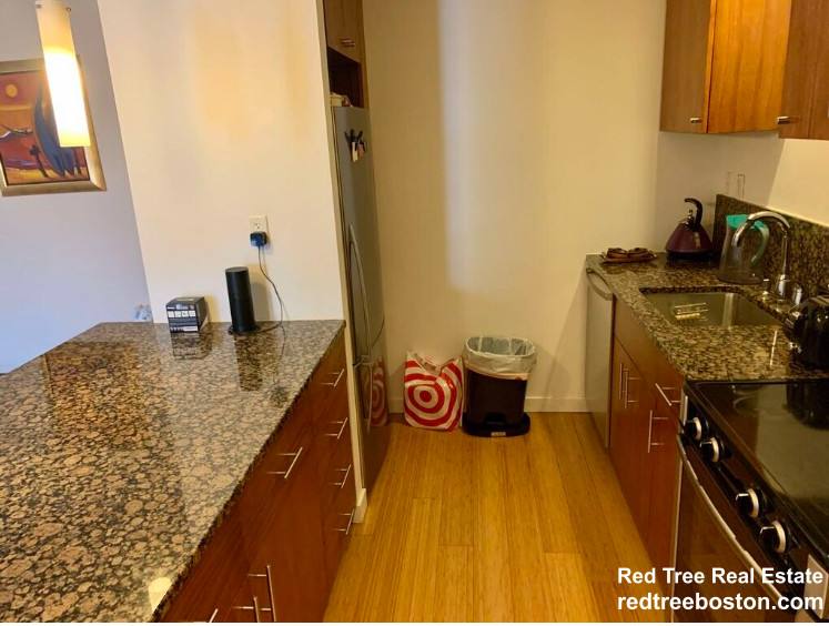 Apartment for rent at 16 Miner St #303, Boston, MA 02115