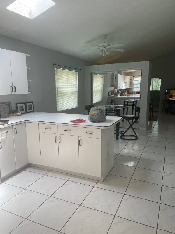 House for rent at 4859 Billy Direct Lane, Lutz, FL 33559