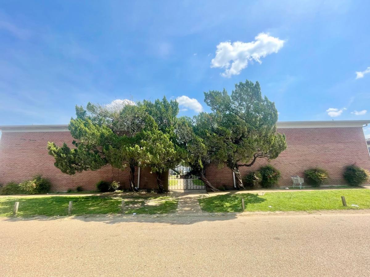 Apartment for rent at 200 Lonnie T Jenkins Dr, Pearl, MS 39208