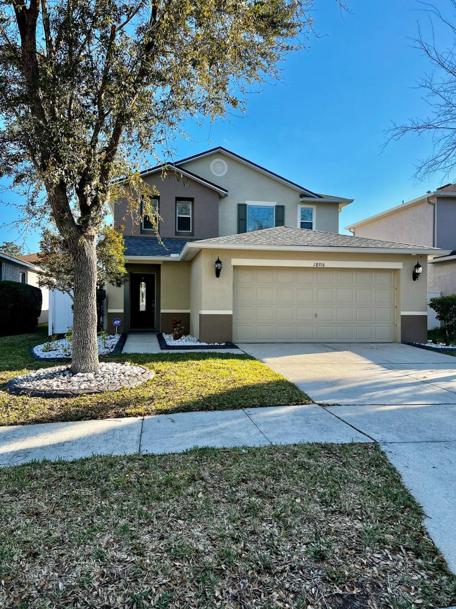 House for rent at 18916 Randall Place, Land O Lakes, FL 34638