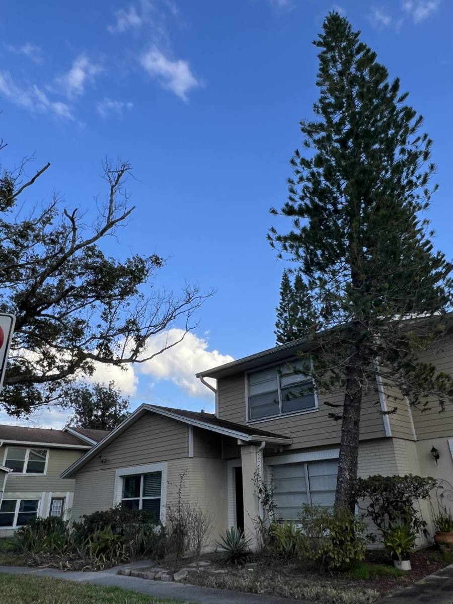 Townhouse for rent at 14627 Pine Glen Circle, Lutz, FL 33559