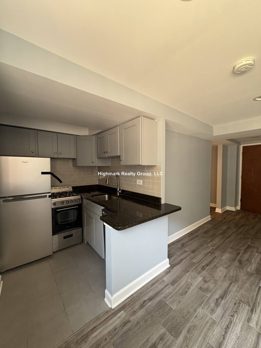 Apartment for rent at 663 W Grace St #207N, Chicago, IL 60613