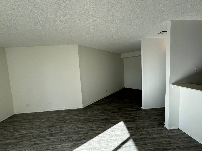 Apartment for rent at 45 W Chicago, Chicago, IL 60654