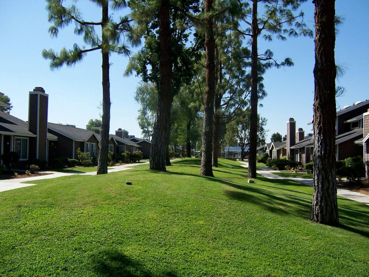 Apartment for rent at 2601 Ashe Rd, Bakersfield, CA 93309