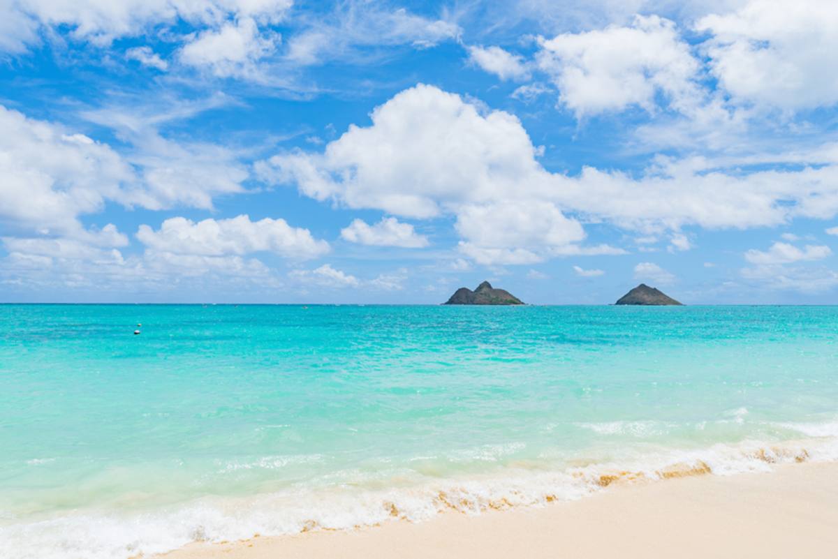 House for rent at 149 Haokea Dr, Kailua, HI 96734