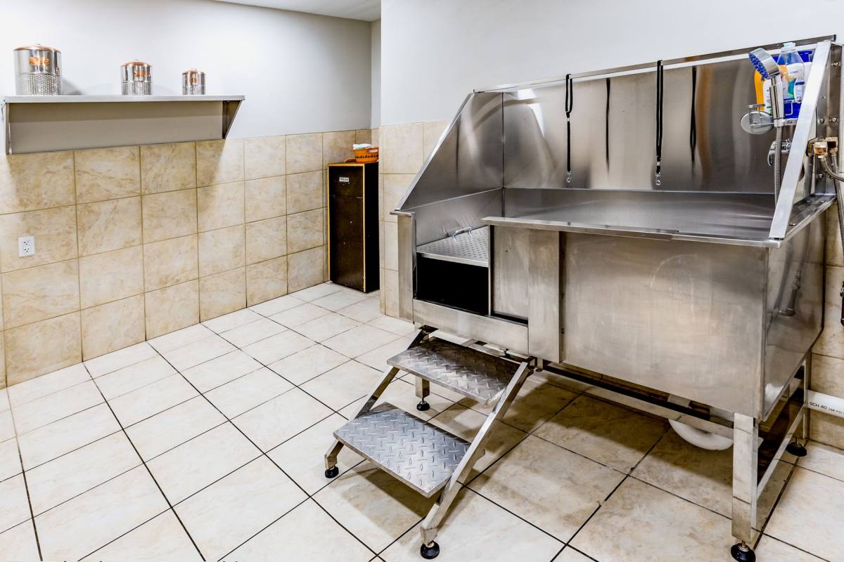 Apartment for rent at 11428 Forest Ave, Clive, IA 50325