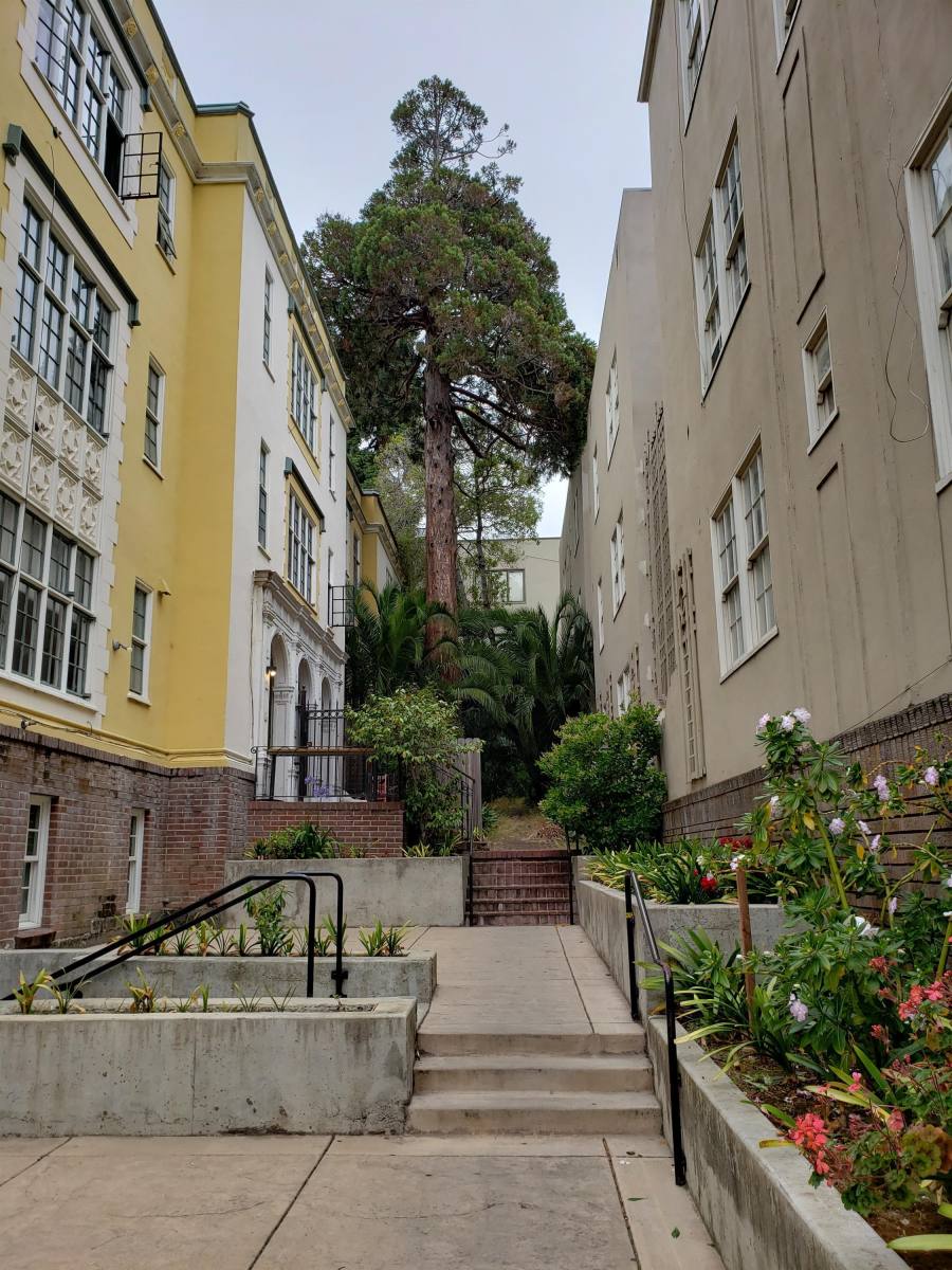 Apartment for rent at 2319 College Ave #L, Berkeley, CA 94704