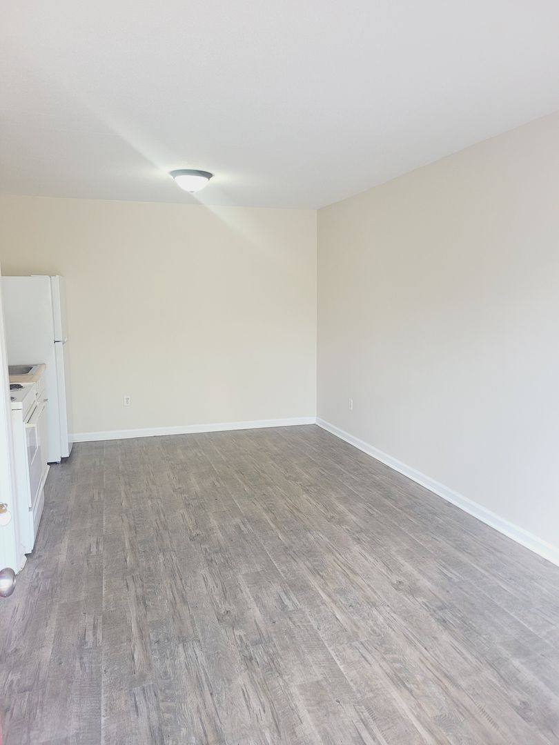 Apartment for rent at 284 Farmers Mountain Rd, Gretna, VA 24557
