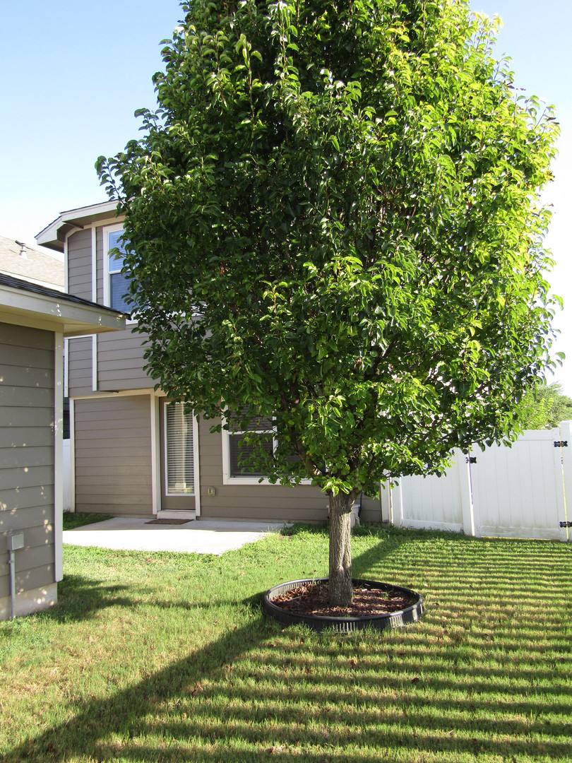 House for rent at 408 N Cascades Ave, Pflugerville, TX 78660