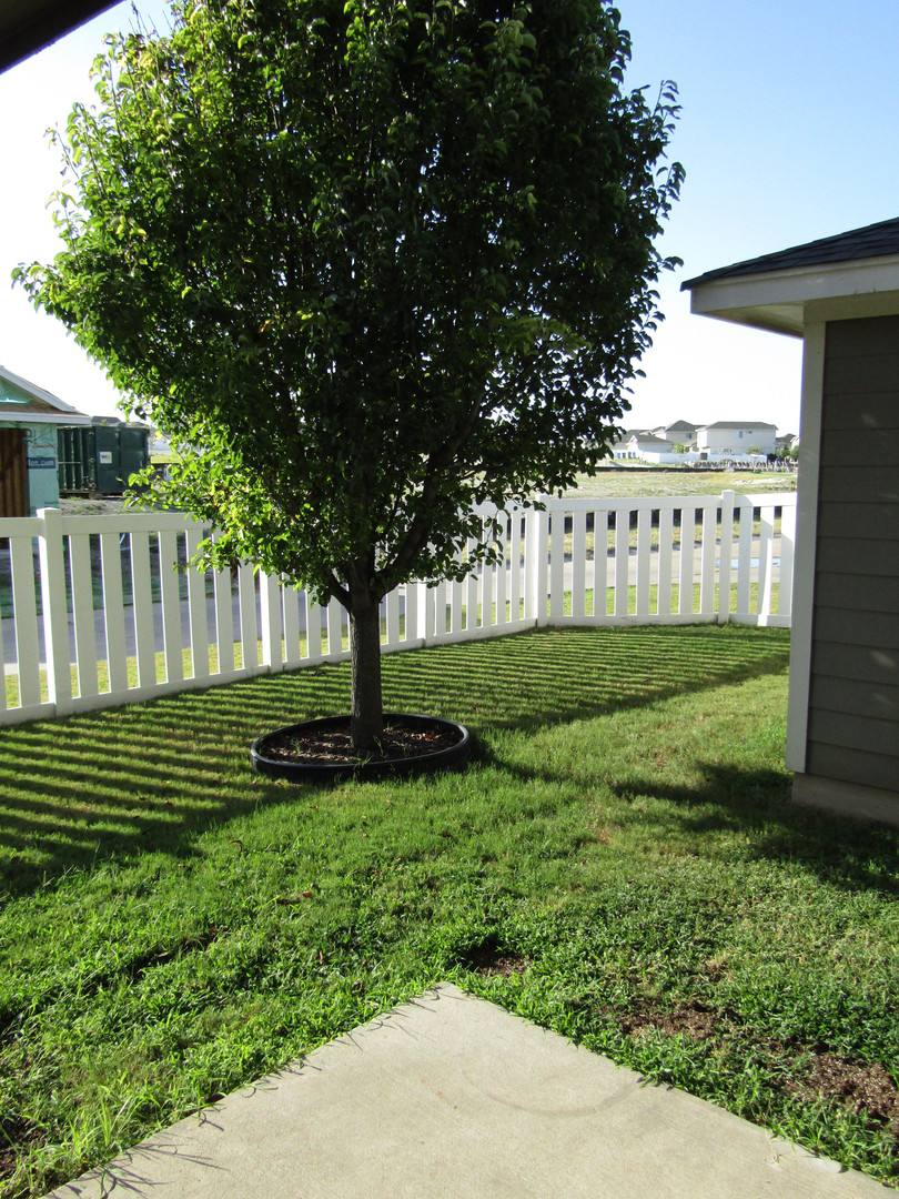 House for rent at 408 N Cascades Ave, Pflugerville, TX 78660