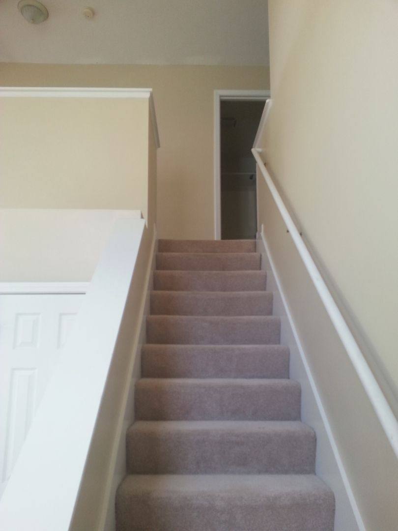House for rent at 703A Sunflower St, Savoy, IL 61874
