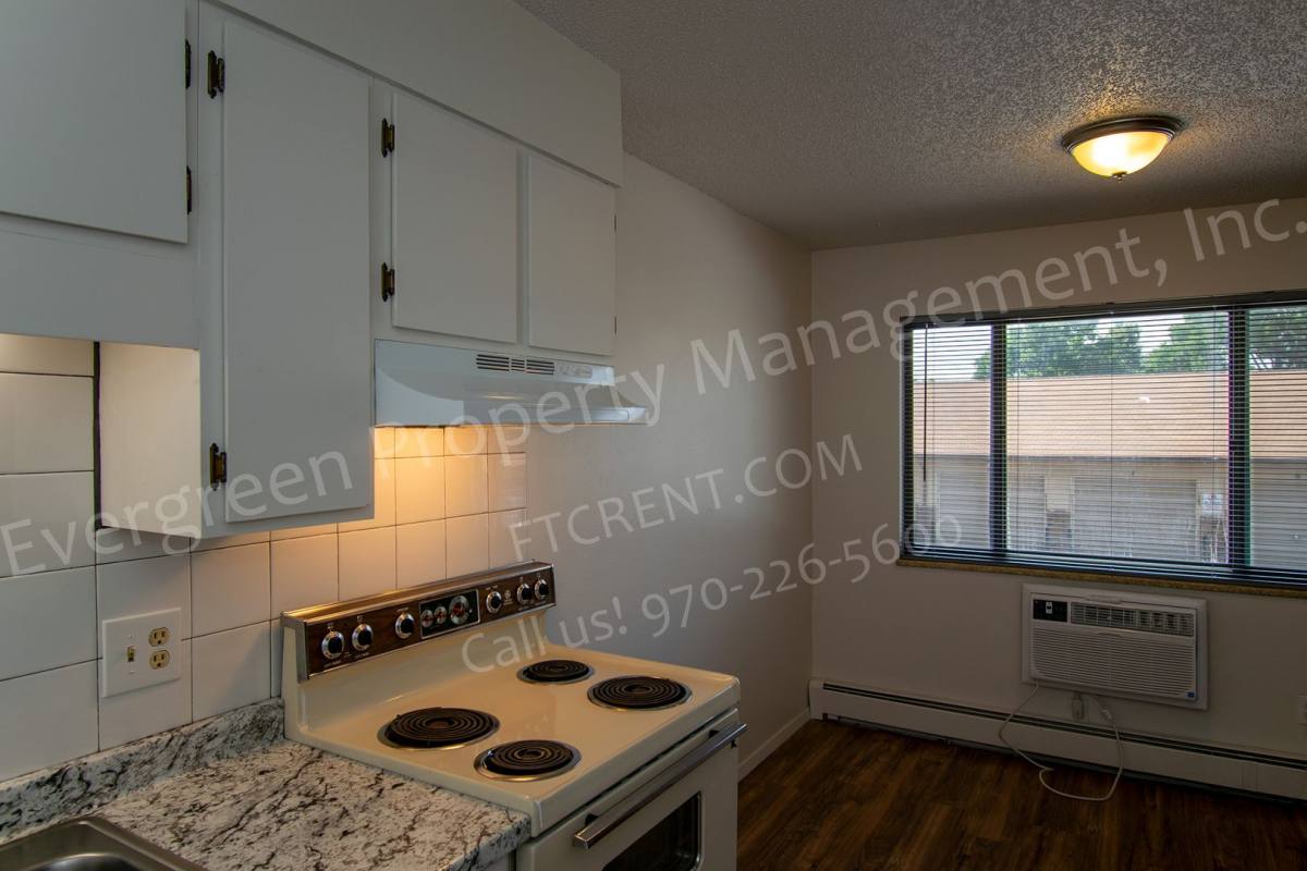 Apartment for rent at 1428 S California Ave, Loveland, CO 80537