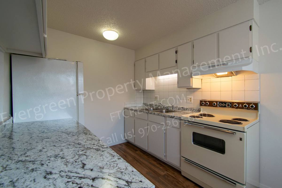 Apartment for rent at 1428 S California Ave, Loveland, CO 80537