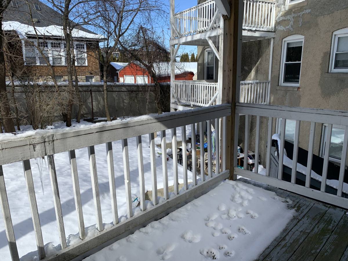 Apartment for rent at 146 Chiswick Rd #1, Brighton, MA 02135