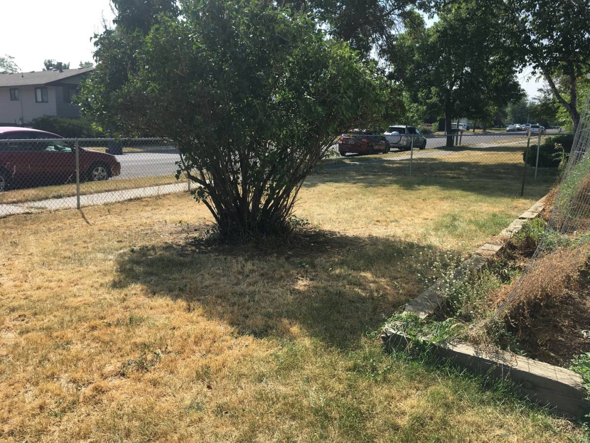 House for rent at 1604 W Durston, Bozeman, MT 59715