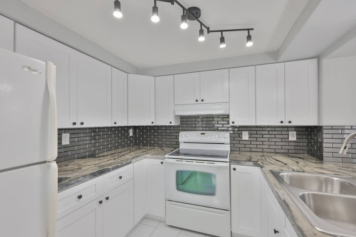 House for rent at 5637 Golden Nugget Dr, Holiday, FL 34690