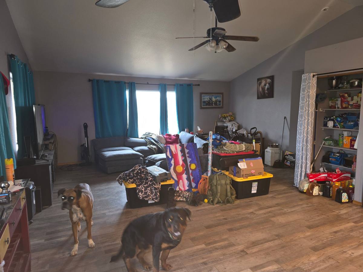 House for rent at 1823 S Mountain Estates Rd, Florissant, CO 80816