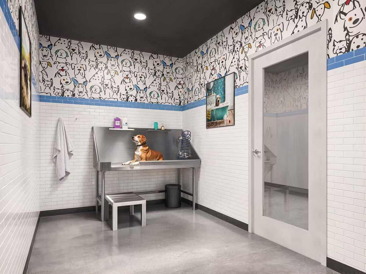 Apartment for rent at Trail House, 1923 Lexington Ave, Cincinnati, OH 45212