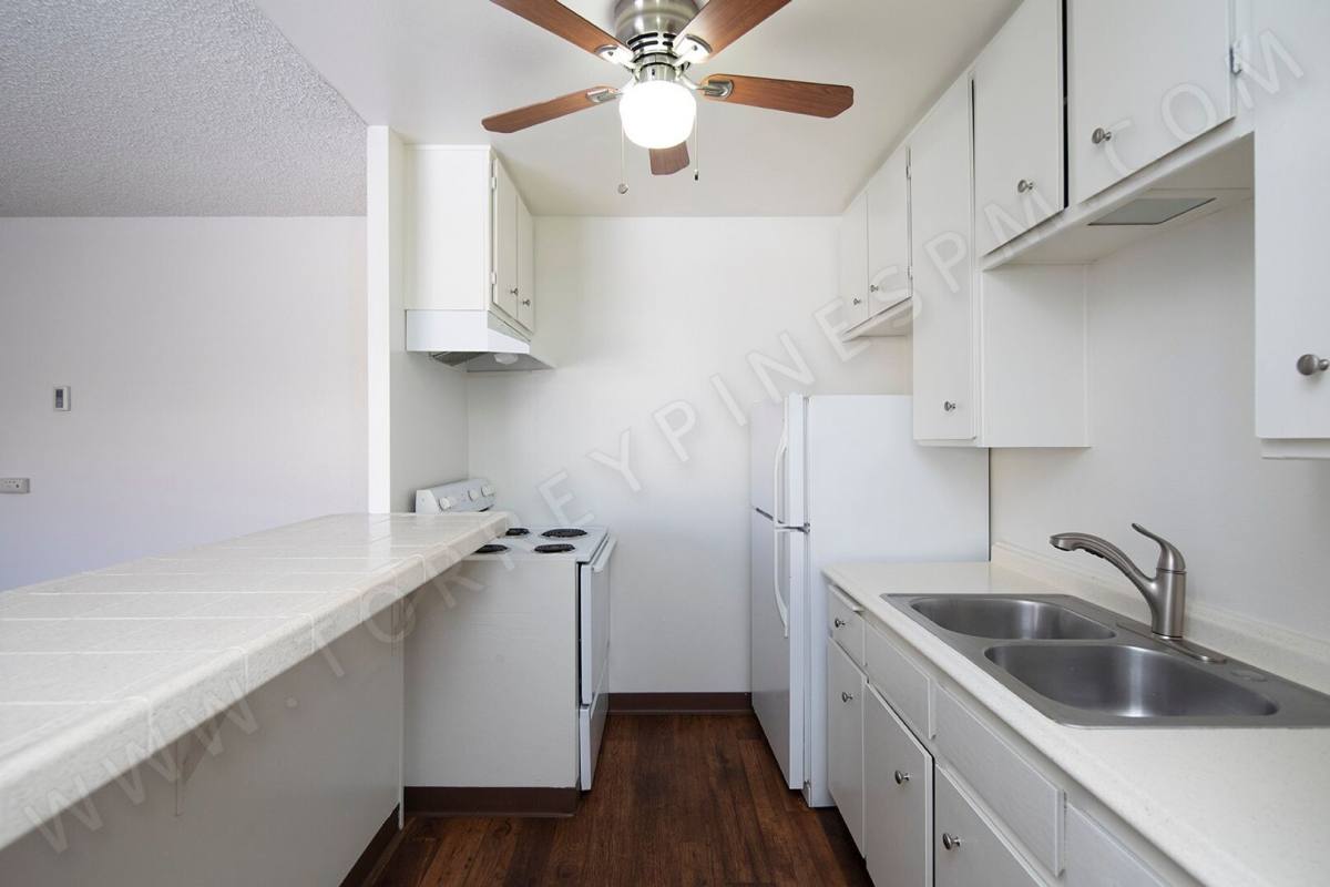 Apartment for rent at 1550 Hornblend St, San Diego, CA 92109