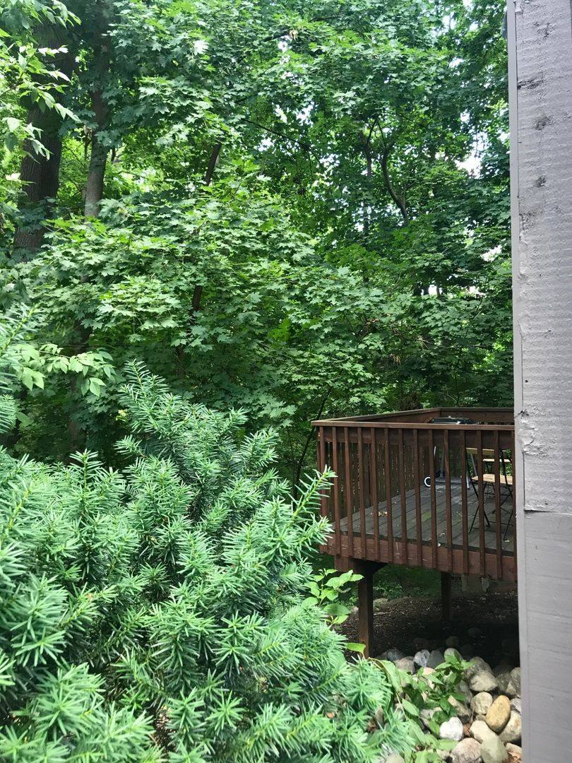 Apartment for rent at 106 Tulip Tree Court, Ann Arbor, MI 48103