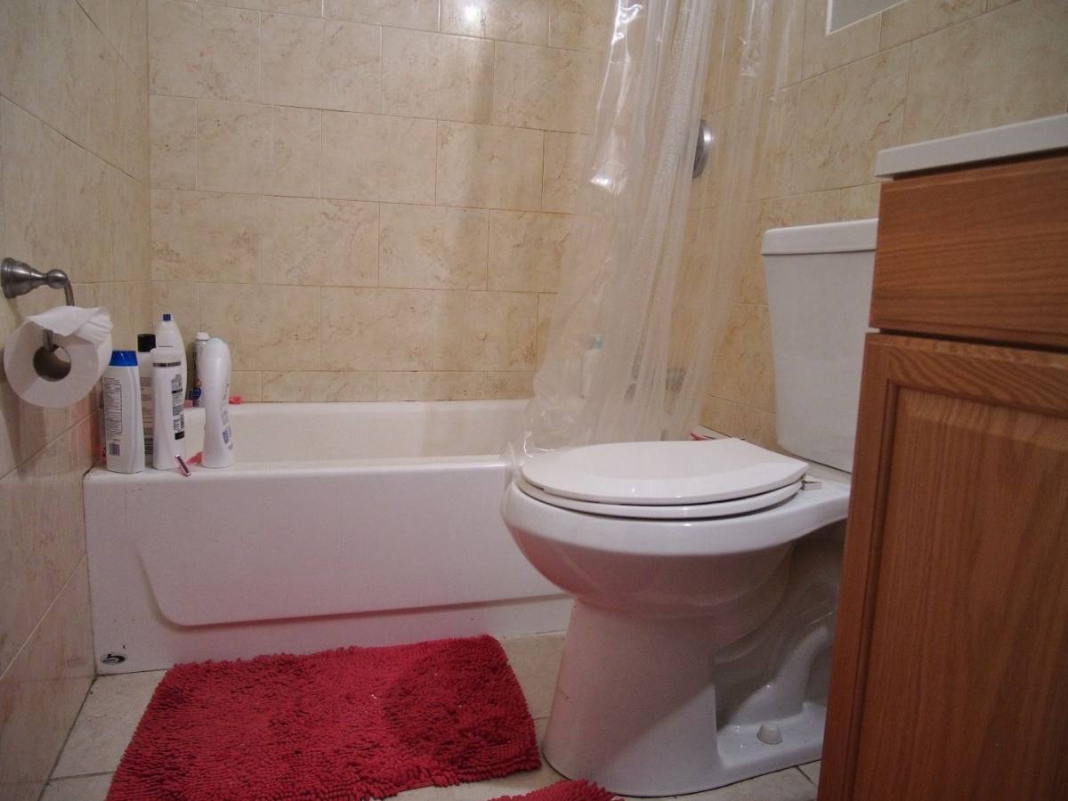 Apartment for rent at 148 Strathmore Rd, Brighton, MA 02135