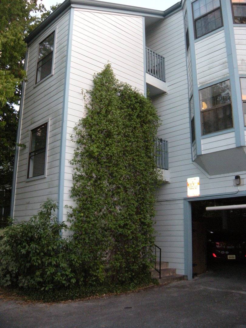 Condo for rent at 303 W 35th St #203, Austin, TX 78705