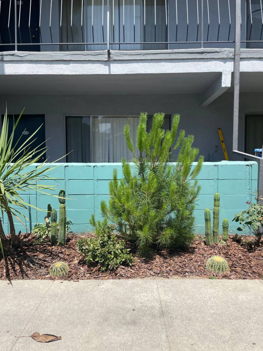 Apartment for rent at 10751 Rose Ave, Los Angeles, CA 90034