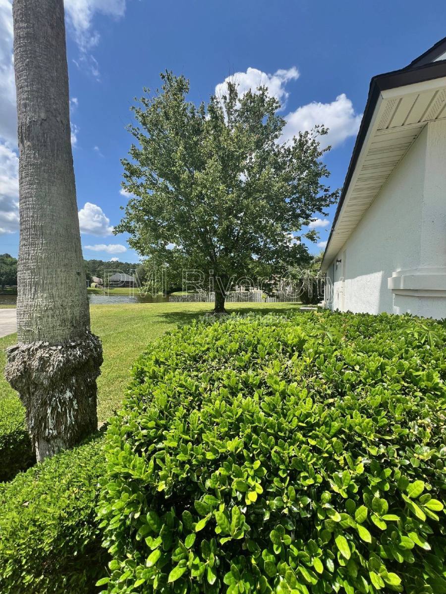 House for rent at 2480 Ridge Will Dr, Jacksonville, FL 32246