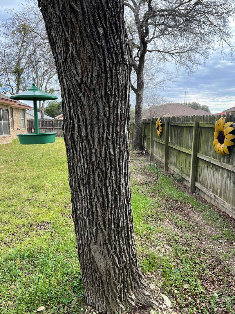 House for rent at 5504 Eldie Court, Killeen, TX 76543