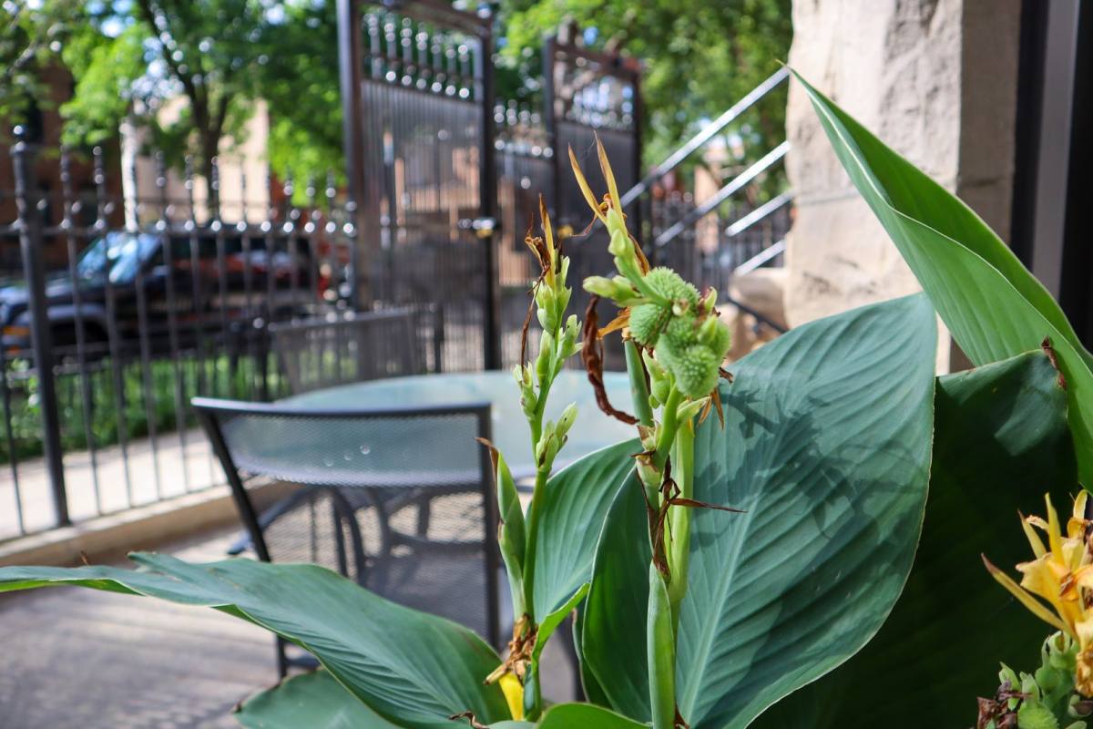 Apartment for rent at 905 S Claremont, Chicago, IL 60612