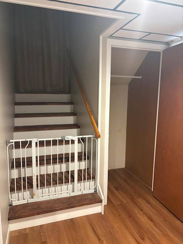 Apartment for rent at 1541 Marconi Dr, Knoxville, TN 37909