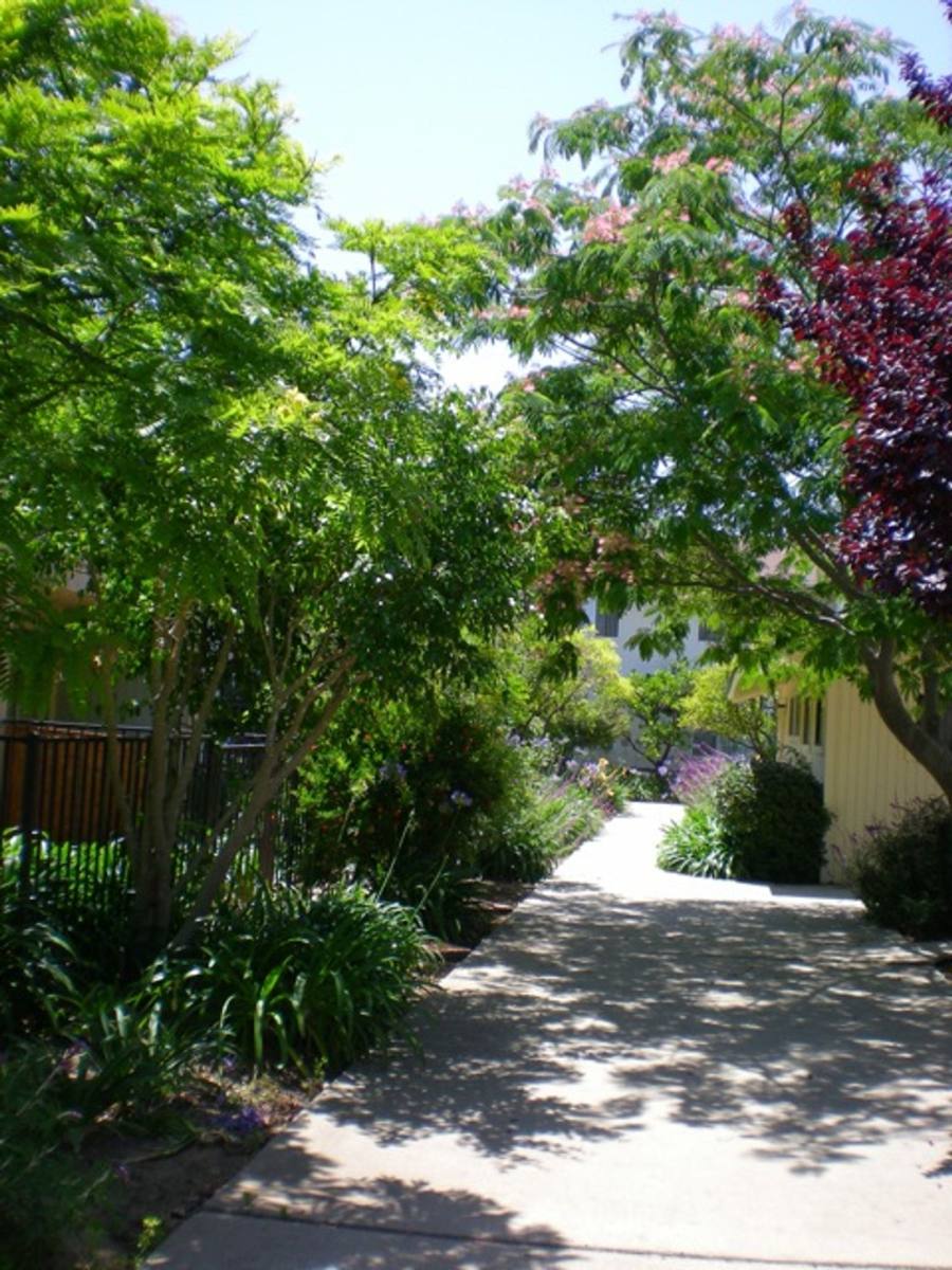 Apartment for rent at 4700 Dexter Dr, Santa Barbara, CA 93110