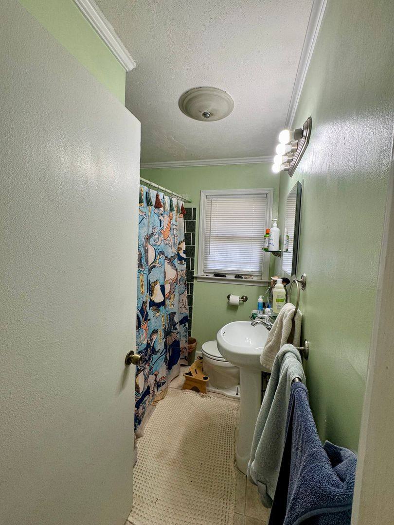 House for rent at 410 S Greensboro St, Carrboro, NC 27510