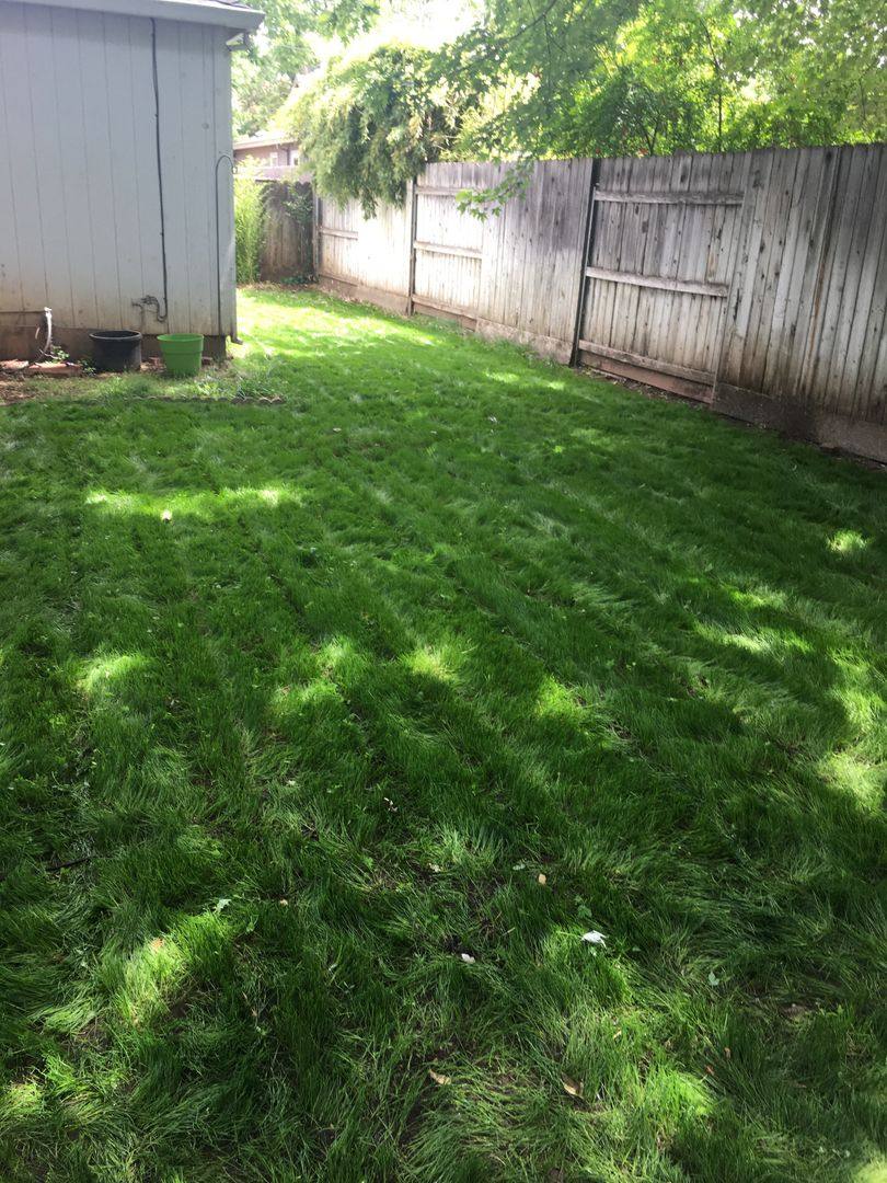 House for rent at 421 W 6th Ave, Chico, CA 95926