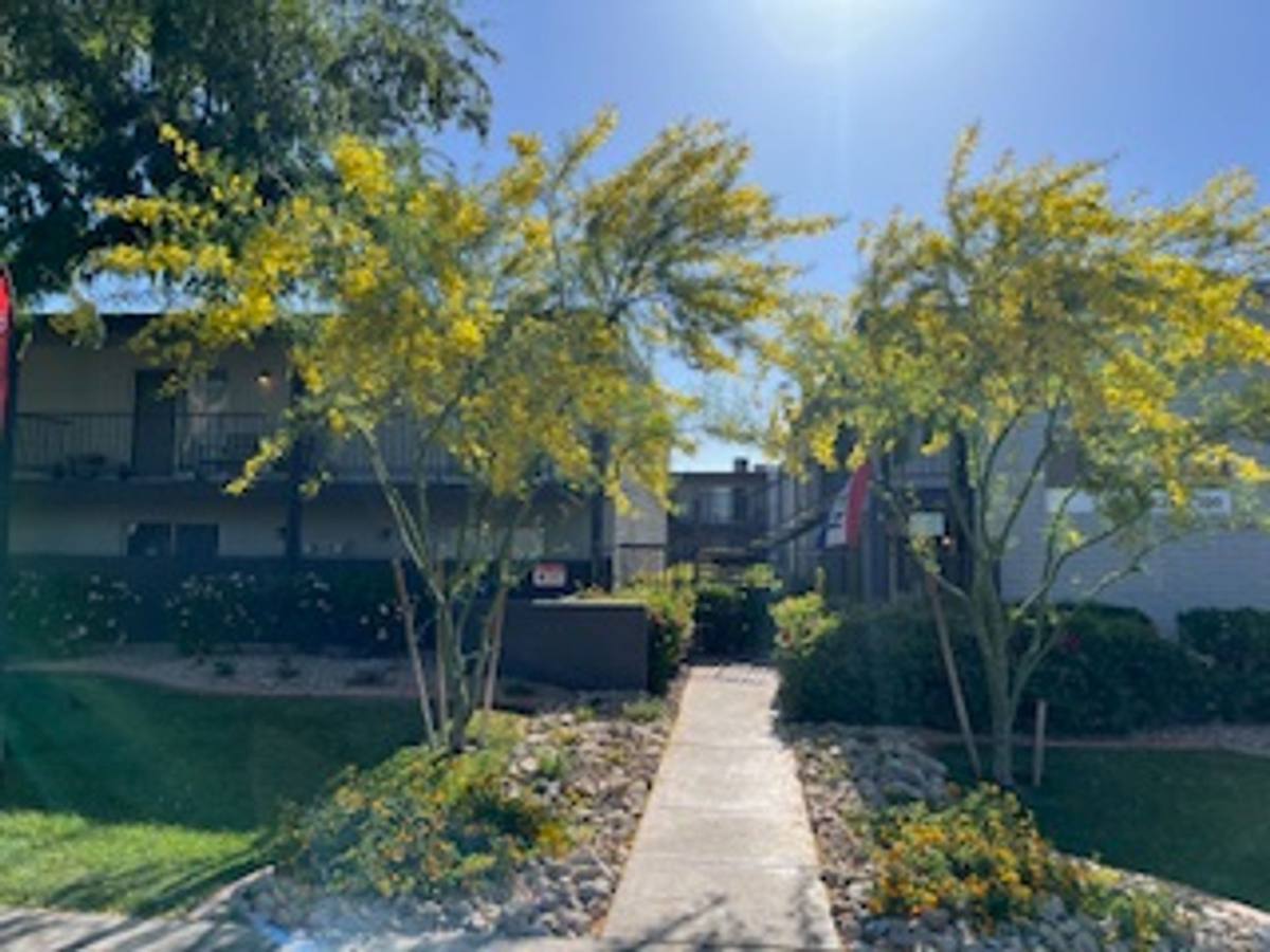 Apartment for rent at 1111 S San Jose, Mesa, AZ 85202