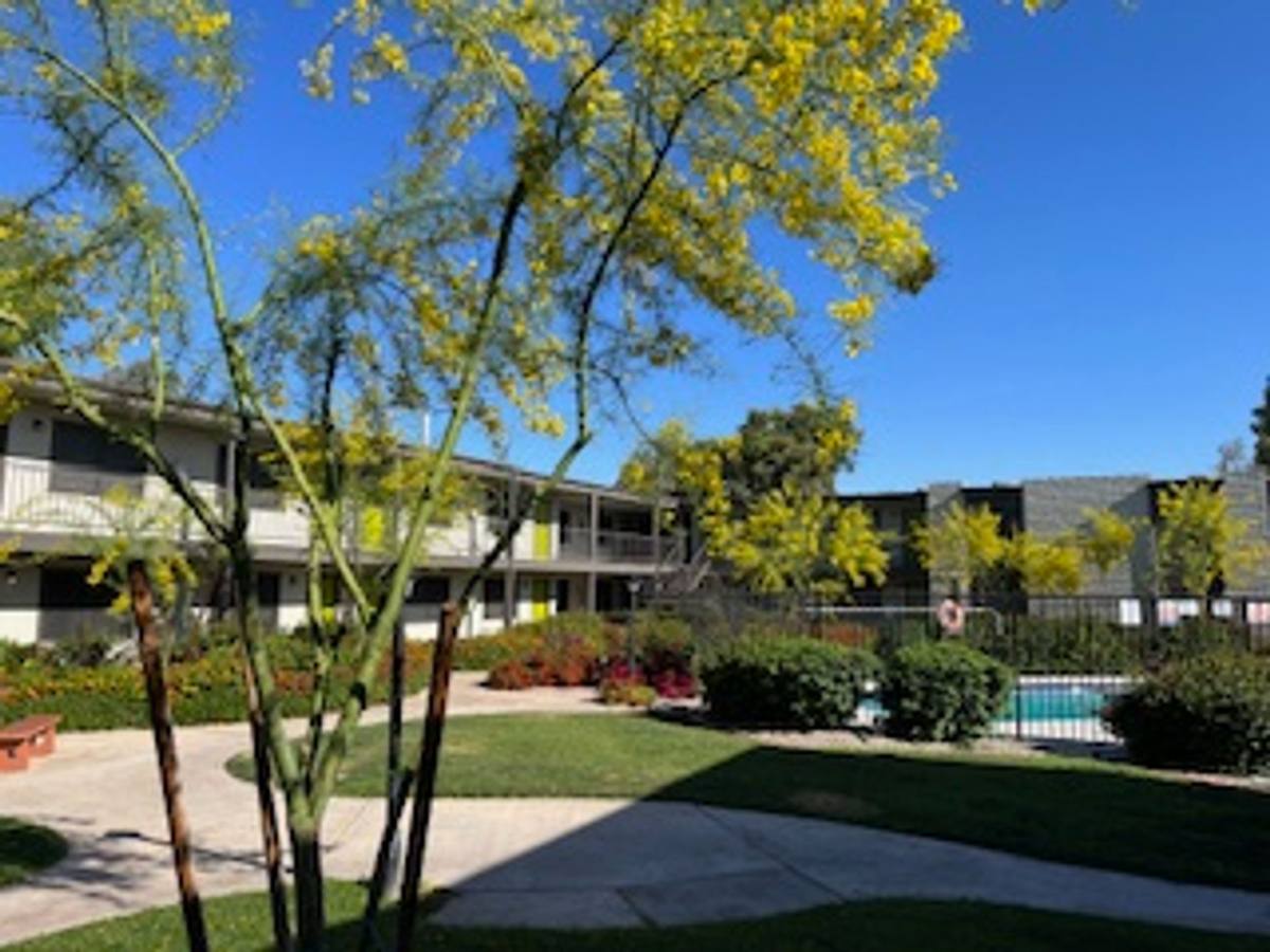 Apartment for rent at 1111 S San Jose, Mesa, AZ 85202
