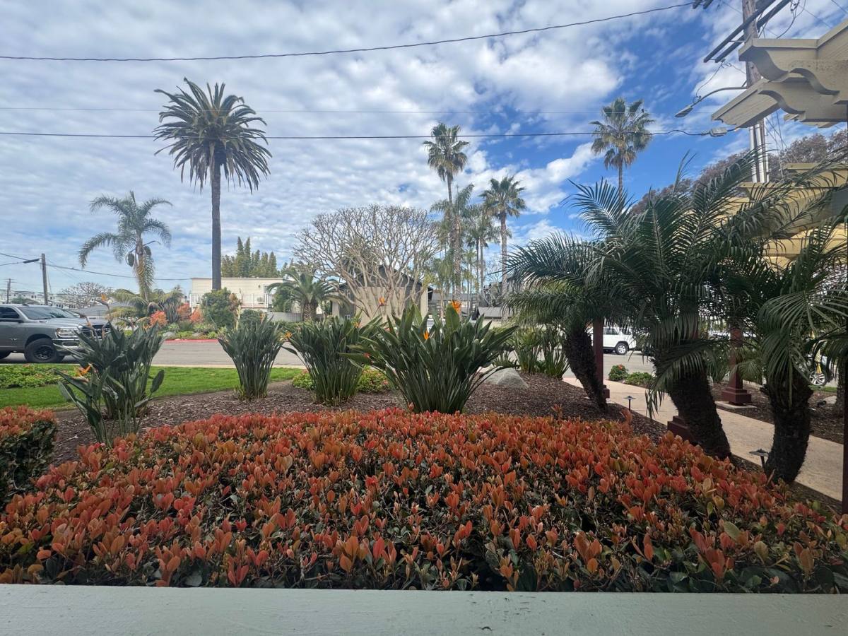Apartment for rent at 357 Chestnut Ave, Carlsbad, CA 92008