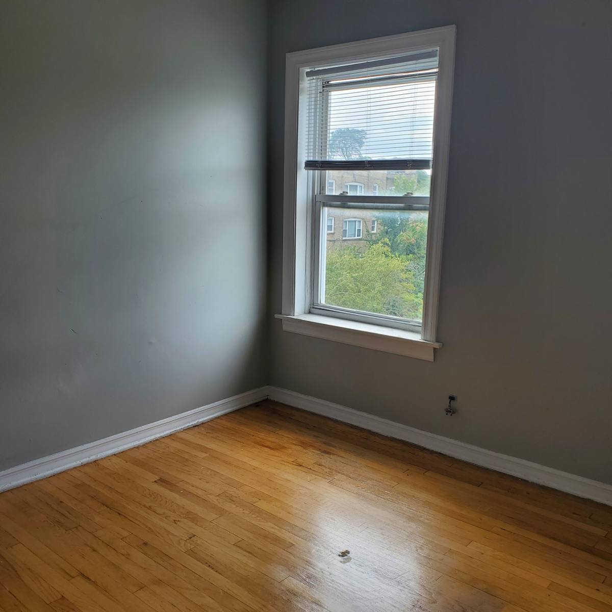 Apartment for rent at 1733-39 E 75th St, Chicago, IL 60649