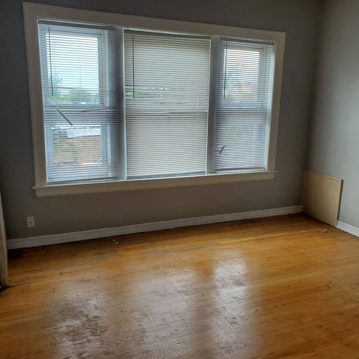 Apartment for rent at 1733-39 E 75th St, Chicago, IL 60649