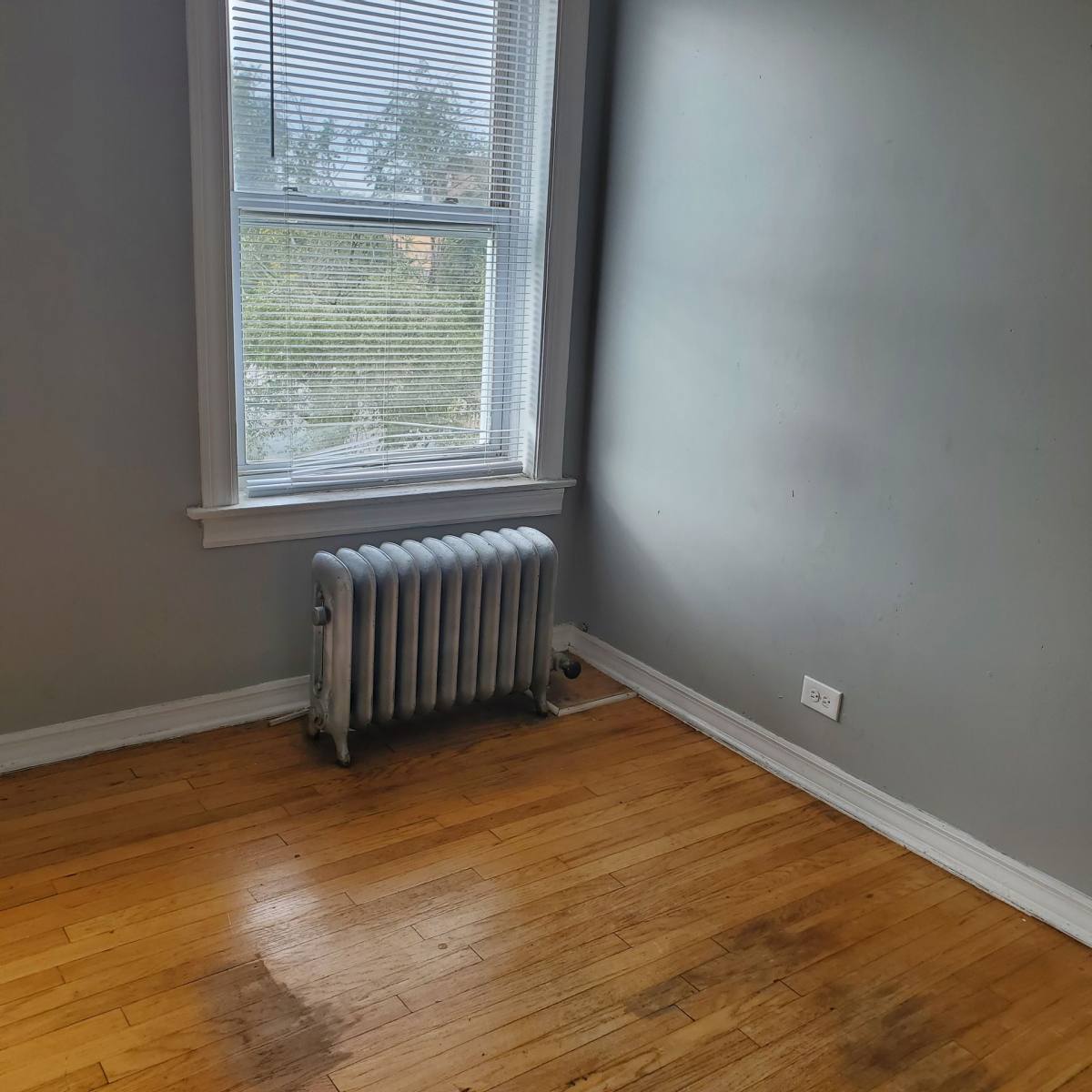 Apartment for rent at 1733-39 E 75th St, Chicago, IL 60649