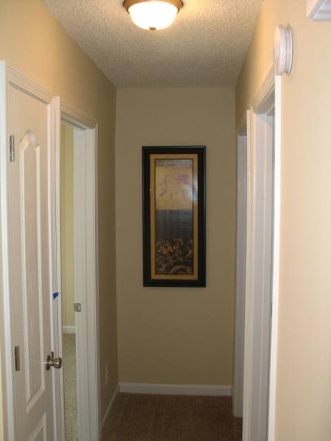House for rent at 255 Ferncliff Dr, Athens, GA 30606