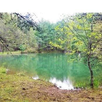 Apartment for rent at 2015 Union School Rd SW #SITE 28, Willis, VA 24380