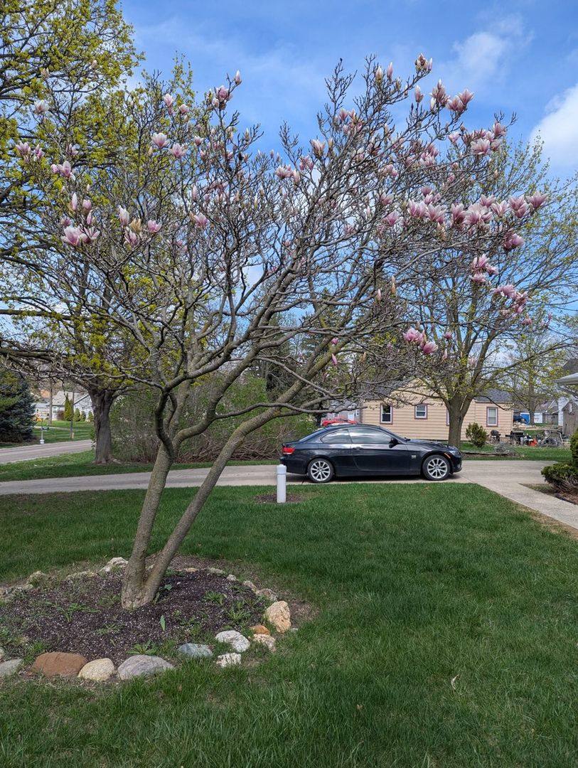 House for rent at 3292 Frederick St, Grand Blanc, MI 48439
