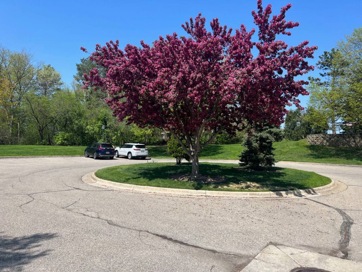 Condo for rent at 2074 Bent Trail Court, Ann Arbor, MI 48103