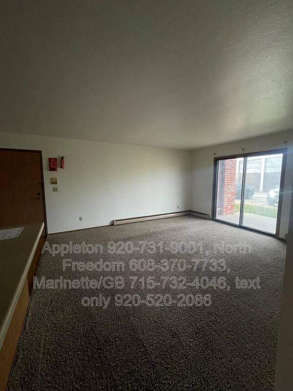 Apartment for rent at 139 E Mitchell Ave #3, Appleton, WI 54915