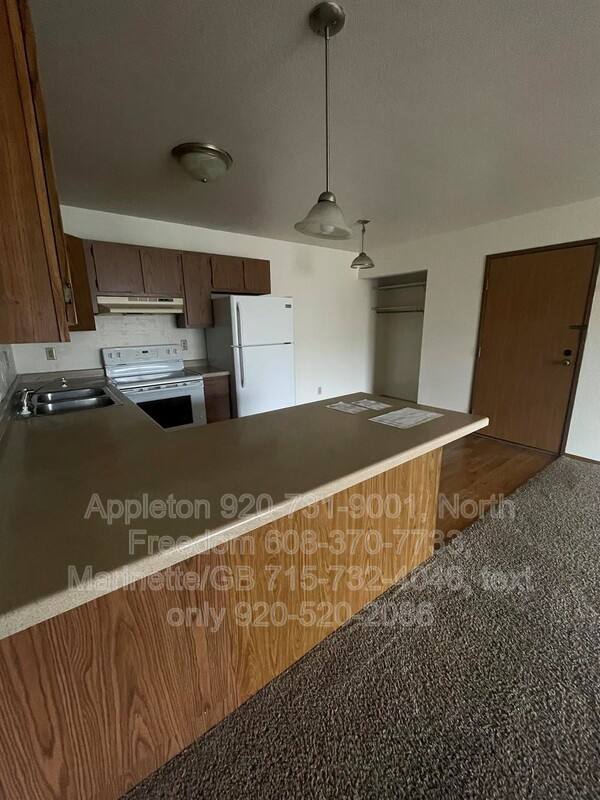 Apartment for rent at 139 E Mitchell Ave #3, Appleton, WI 54915