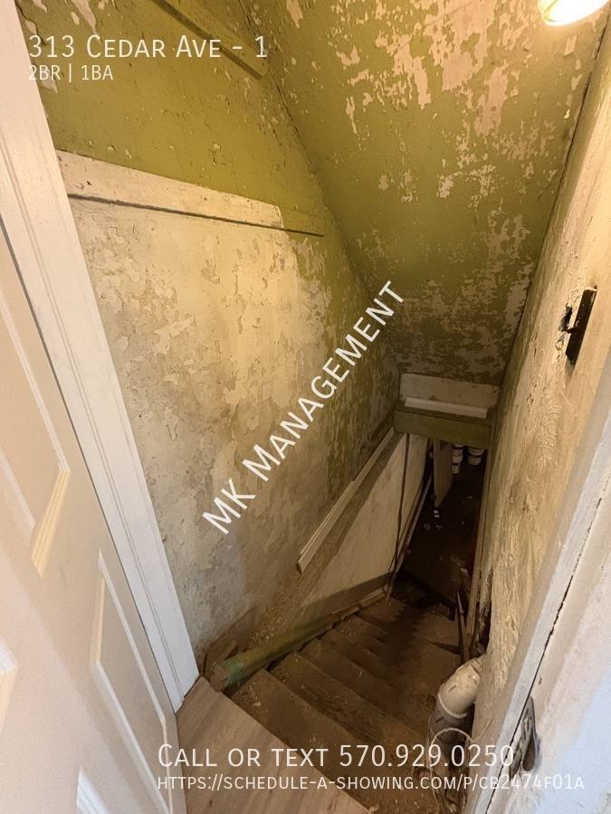 313 Cedar Ave #1, Scranton, PA 18509 - Apartment for Rent - Image 8